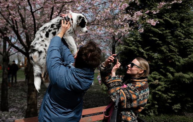 Погода суттєво не зміниться, але трохи потеплішає: прогноз в Україні на тиждень (карти)