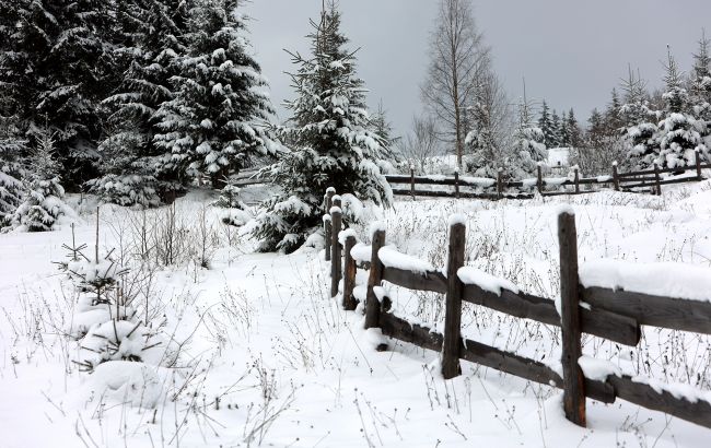 Все в снігу й 17 градусів морозу: рятувальники попередили про небезпеку в Карпатах (фото)
