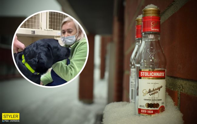 В Днепре ветеринары спасли пса, который выпил бутылку коньяка и страдал от жуткого похмелья