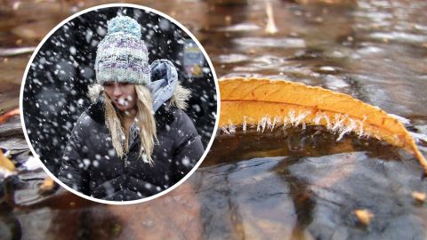 В Украину идет циклон Siegbert: принесет дожди и мокрый снег