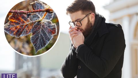 Україну накриє морозним антициклоном: синоптики оновили прогноз на вихідні