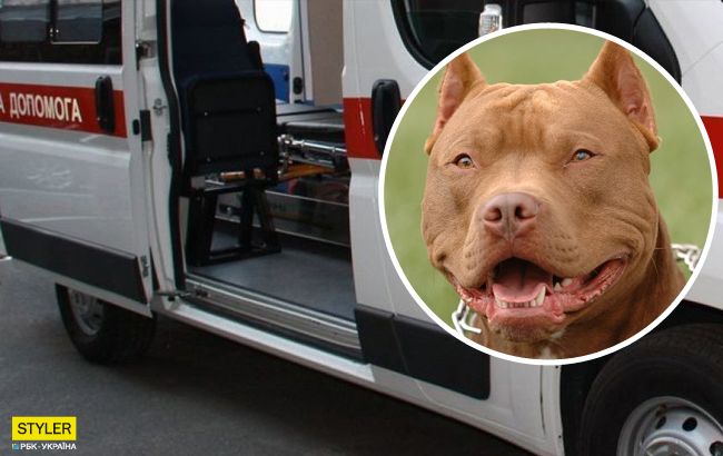 Возвращались из садика: в Киеве собака набросилась на мальчика с отцом и серьезно травмировала (фото)