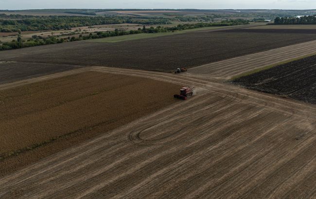 Озимина не сходить, врожай - під загрозою: де і якого лиха наробила погода в жовтні