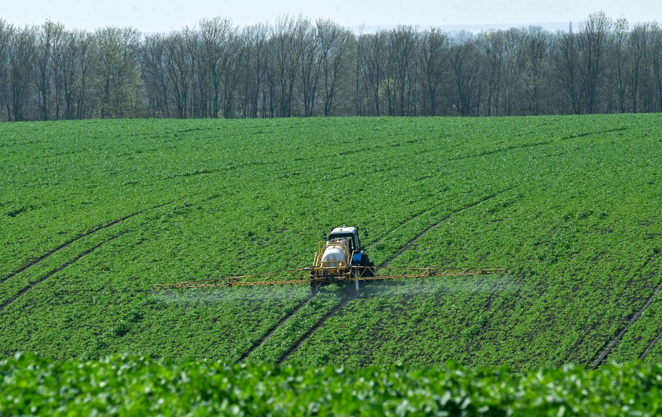 Морози і снігопади 2026: як зимова погода вплине на урожай в Україні