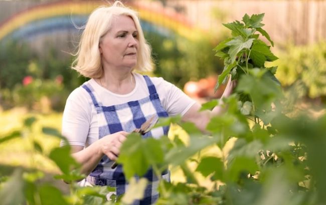 8 секретов размножения кустов и деревьев от опытных садоводов: запомните и пользуйтесь