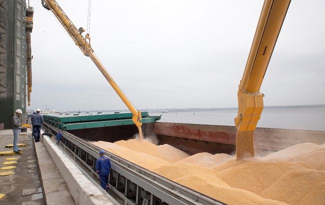 Правительство Украины предоставило финансовые гарантии для судов "зернового коридора"