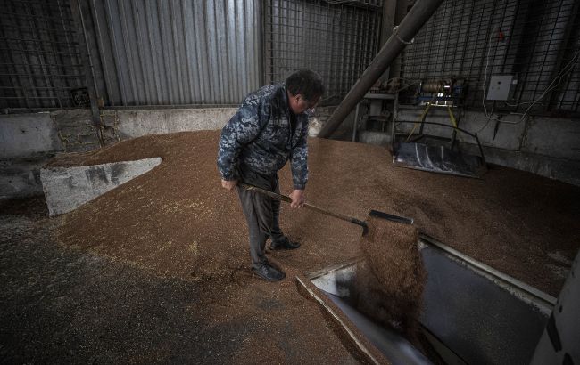 Окупанти за дев'ять днів знищили близько 180 тисяч тонн українського зерна, - МЗС