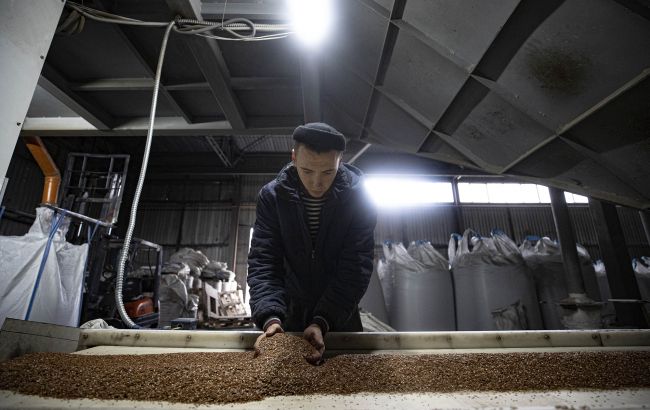 Словакия отменила односторонние ограничения на импорт украинского зерна
