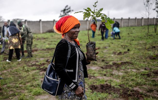 В Кении отправили всех в выходной для посадки 100 млн деревьев