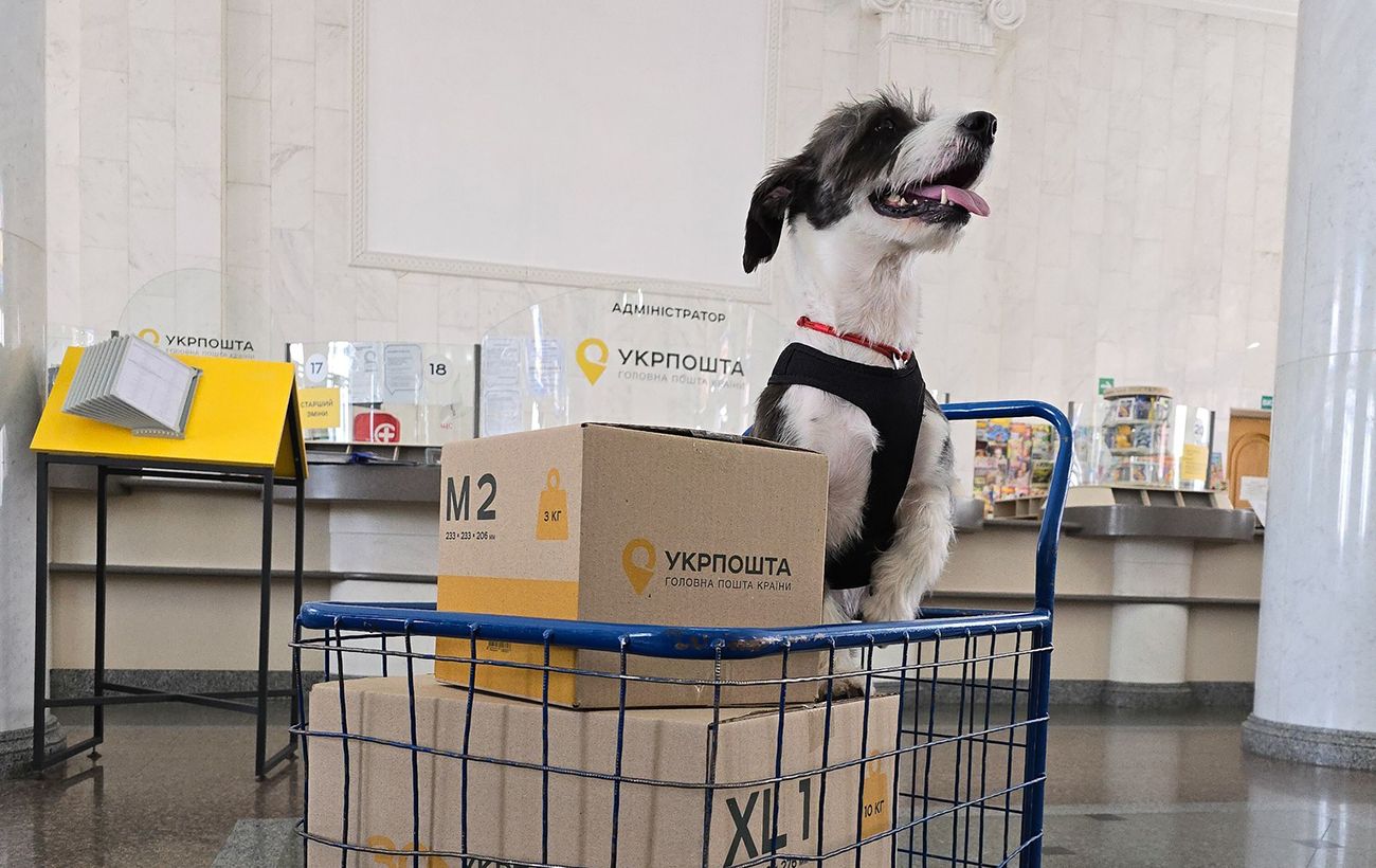 "Укрпошта" знизила вартість доставки: хто тепер може платити менше