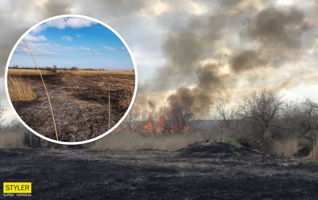 Дети устроили масштабный пожар вблизи известного украинского курорта: фото и видео