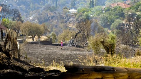 В Греції оголосили масштабну евакуацію: пожежа загрожує 12 населеним пунктам