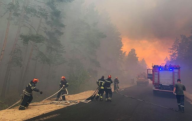 У Луганській області через добу загасили лісову пожежу