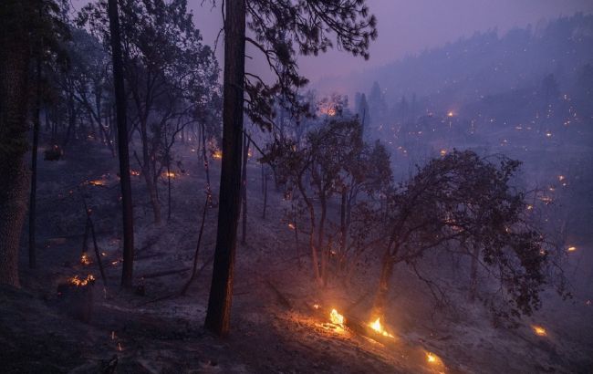 Лісові пожежі в Сибіру вийшли з-під контролю через перекидання військових частин для вторгнення в Україну