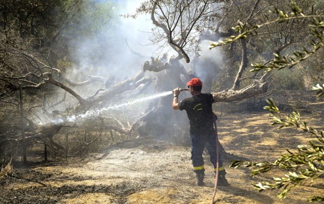 В пригороде Афин в результате лесных пожаров погиб человек