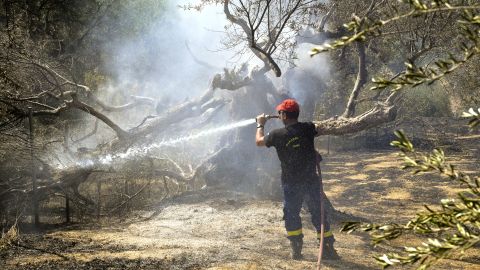 В Греции арестовали двух подозреваемых в поджоге лесов