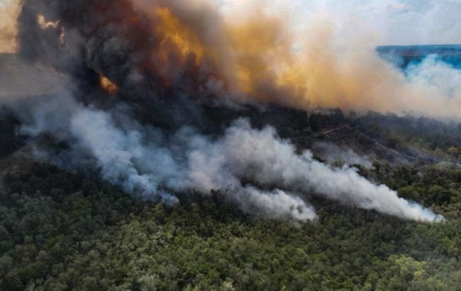 Лісові пожежі спустошують Північне полярне коло: чому вчені б'ють на сполох