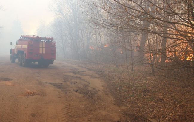 У Києві гасили 10 осередків лісових пожеж