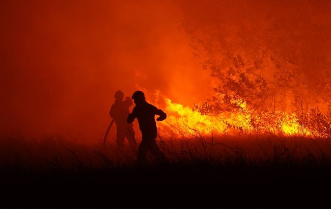 У Туреччині палають ліси: вогонь наближається до четвертого за величиною міста