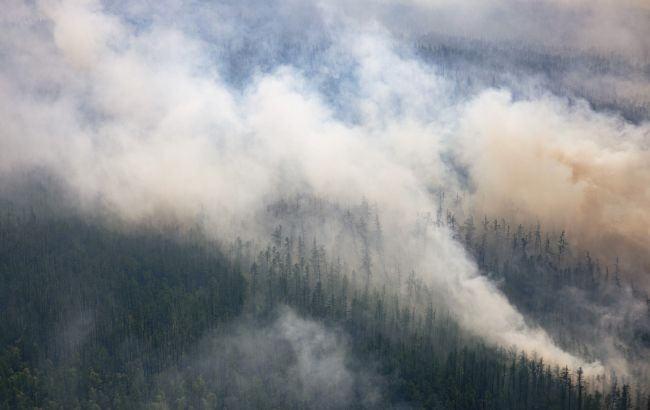 Лесной пожар в Канаде: уничтожено около 200 домов