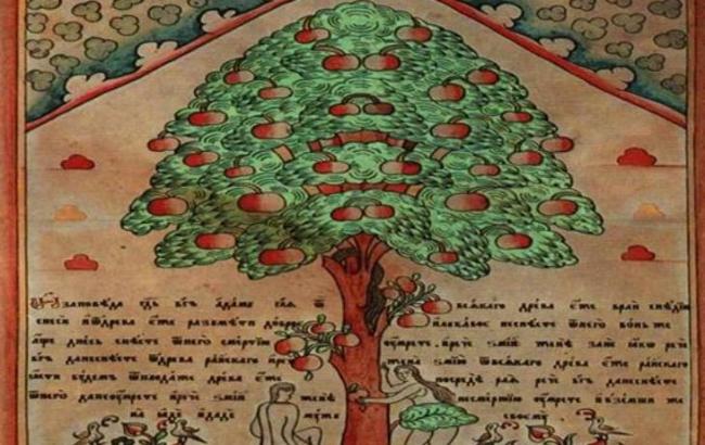 Гороскоп на сьогодні, 14 листопада