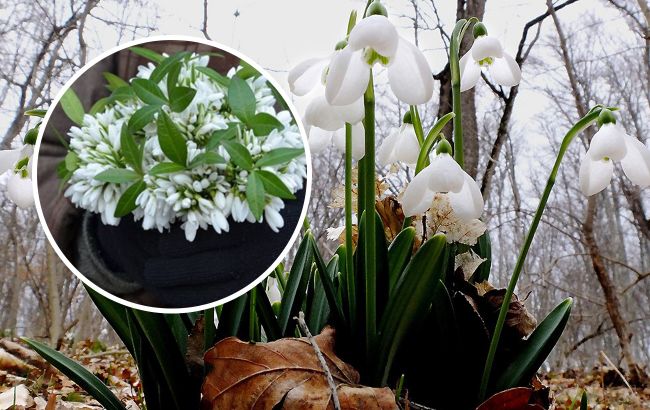 Жителей Киева предупредили о "новых" штрафах: что известно