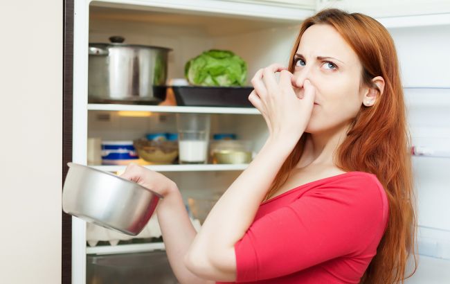 Как убрать неприятный запах из холодильника: действенные способы