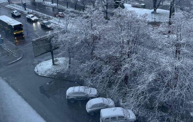 Украину окутало снегом, кое-где высыпало 10 см: красивые фото и видео