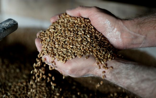 ЕС готовит экстренные ограничения на импорт зерна из Украины, - FT