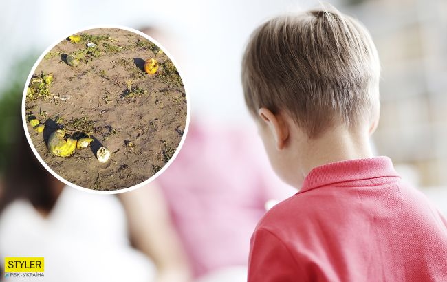 Школярів змусили працювати на полі замість уроків: у Черкасах розгорається скандал