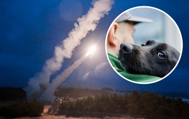 Из-за российского ракетного обстрела под Киевом погибли питомцы приюта для животных
