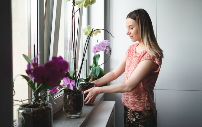 Орхідея буде цвісти цілий рік, якщо поливати її цим натуральним продуктом