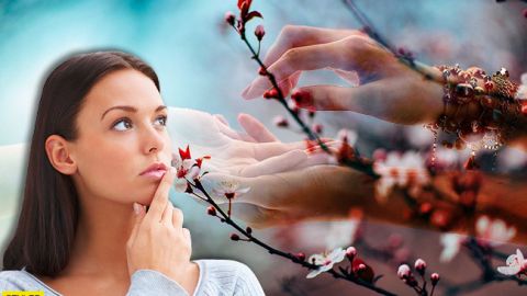 Весеннее равноденствие: как узнать свою судьбу в этот день