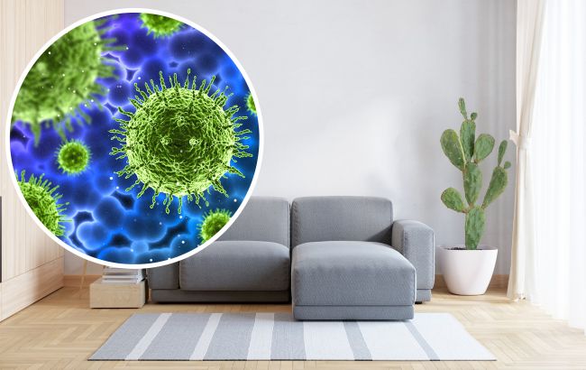 В каких местах в доме прячется больше всего микробов: не забывайте там тщательно убирать