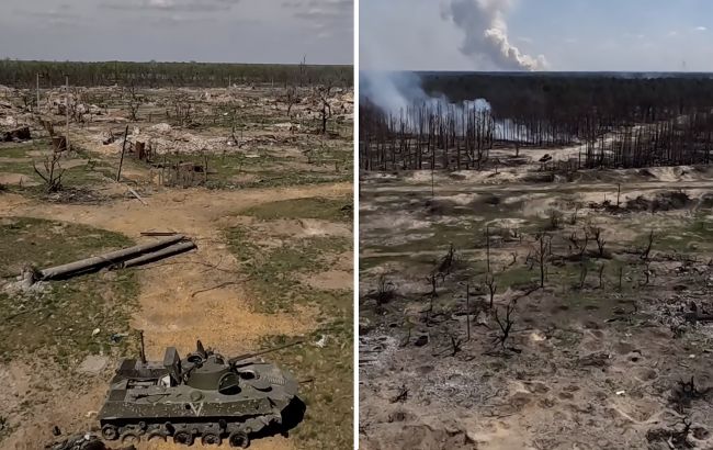 "Безжалостный ад". В сети показали, как выглядит село в Херсонской области, которое уничтожили россияне