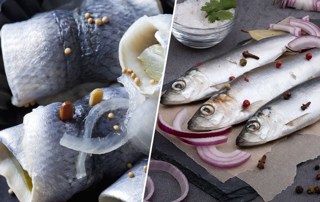 Оселедець чи матіас: у чому різниця та чому один вид вважають делікатесом