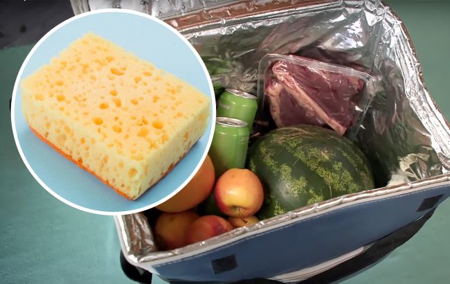 Замість льоду: як зберегти холод за допомогою кухонної губки