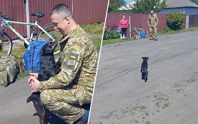 Прикордонник зустрівся з вірним псом після 2 років полону: емоційне відео
