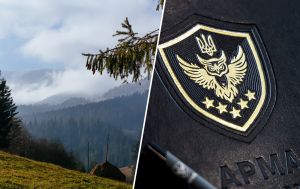 Боржава у заручниках бюрократії. Наслідки блокування аукціону АРМА для Закарпаття