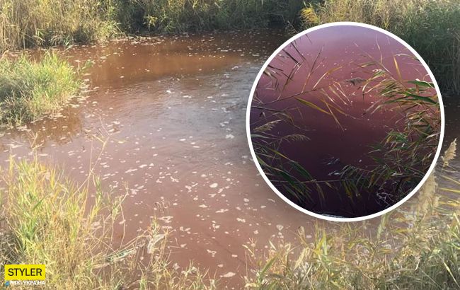 В річку під Запоріжжям злили токсичні відходи: Азовське море під загрозою