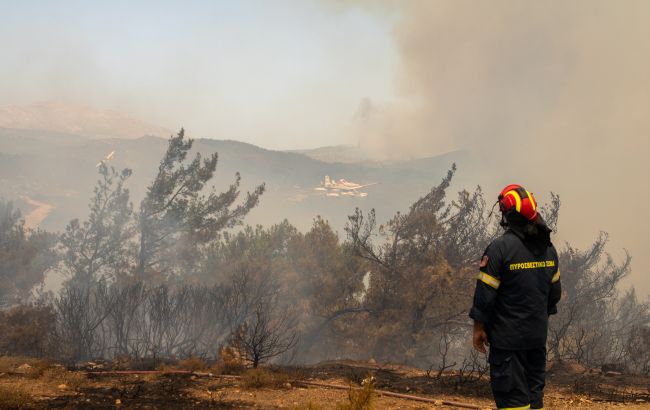 Грецькі рятувальники не можуть взяти під контроль масштабні лісові пожежі