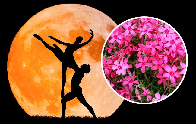 Рожевий Повний місяць у квітні 2023: чому він так називається і що нам принесе