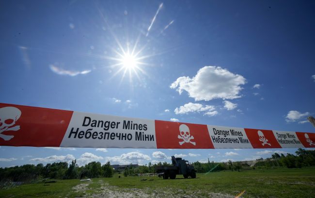 В Ровенской области на мине подорвались незаконные лесорубы