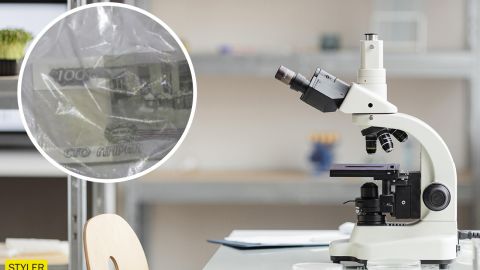 У "ЛНР" запустили абсурдний фейк про Україну: "розіп'яті хлопчики" відпочивають