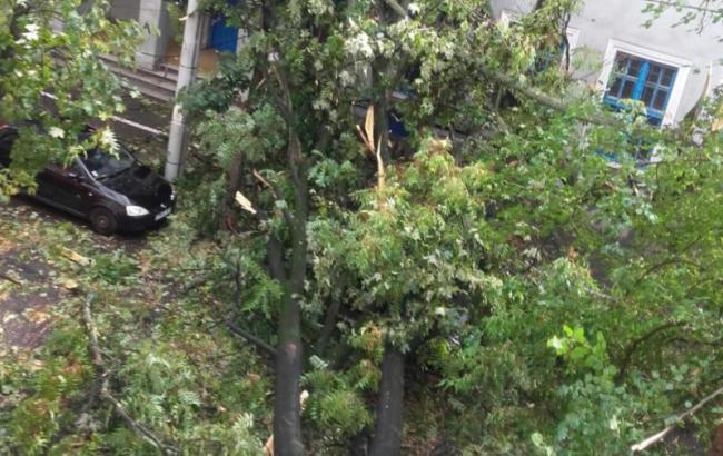 В Румынии во время урагана погибли 8 человек