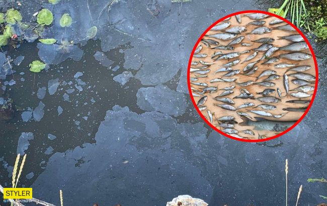 Під Києвом сталася екокатастрофа: жахливий запах стоїть всюди (фото)