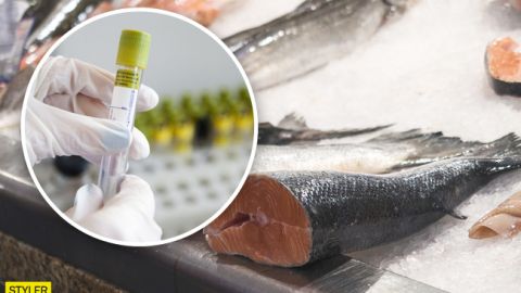 Выростают до 10 метров: в Украине продают рыбу с опасными паразитами