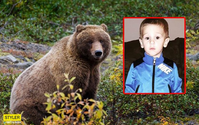 Бог послал ему друга: медведь спас трехлетнего ребенка в лесу (фото)