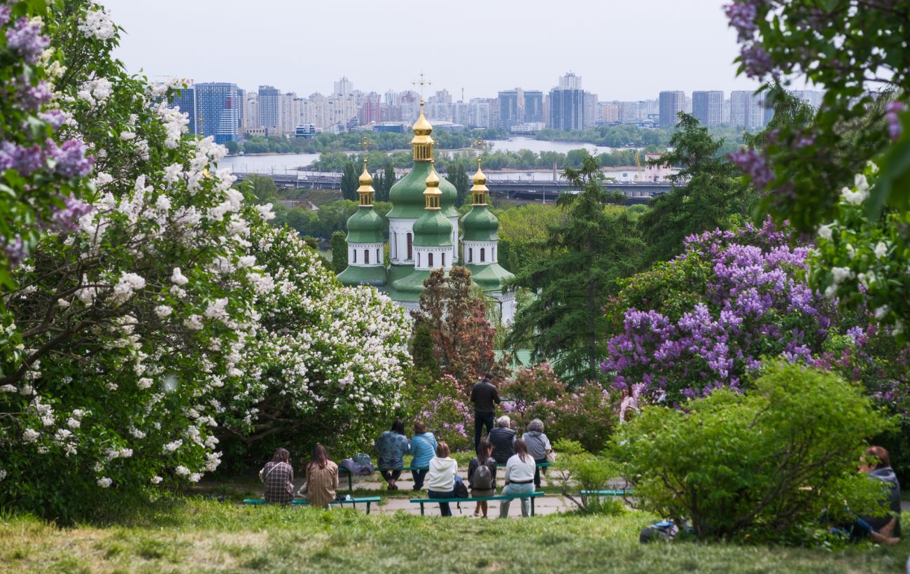 Легендарний бузковий сад у Києві: від репарацій до унікальних сортів