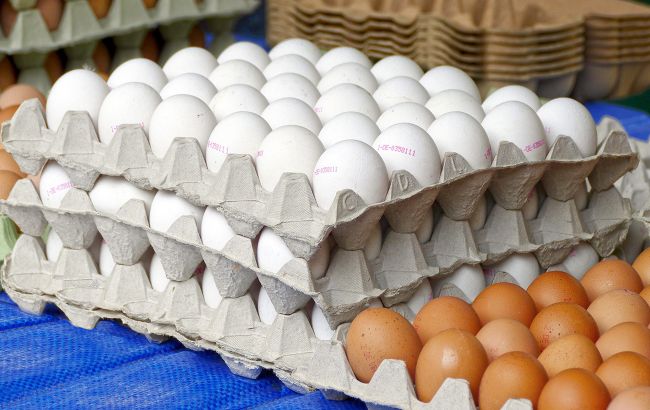 Як їсти яйця, щоб не підчепити сальмонельоз: правда і міфи